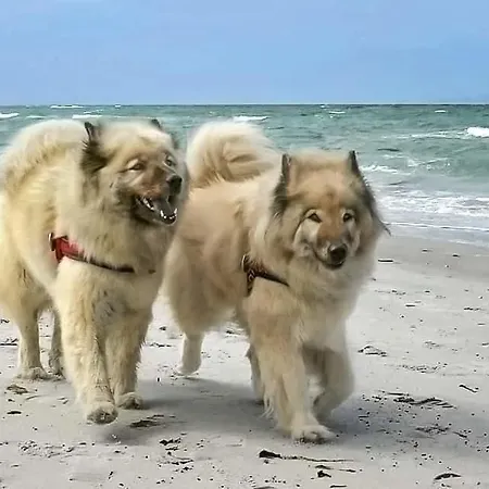 Apartment Meerblick Haushälfte