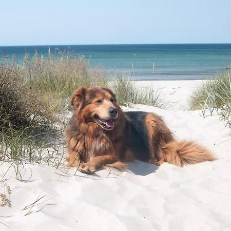 Apartment Meerblick Haushälfte