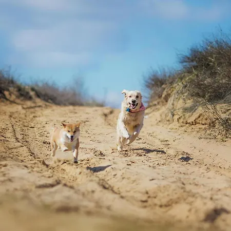 Meerblick Haushälfte * Stahlbrode