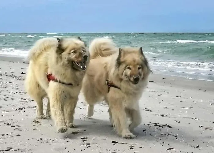 Апартаменты Meerblick Haushaelfte