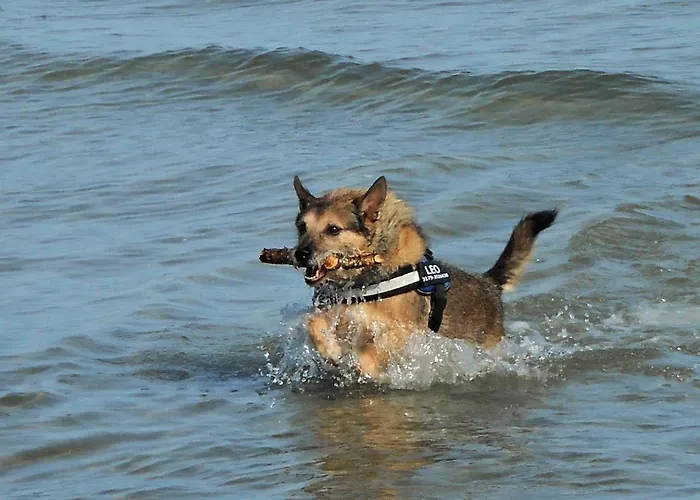 Meerblick Haushaelfte Апартаменты