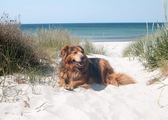 Апартаменты Meerblick Haushaelfte