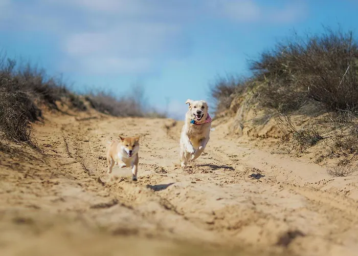 Meerblick Haushaelfte * Stahlbrode